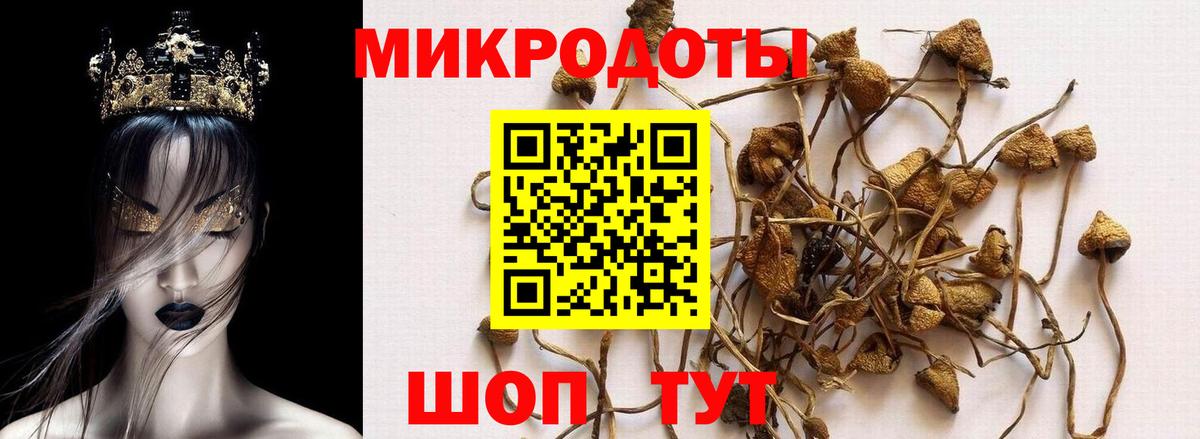 Галлюциногенные грибы Magic Shrooms  Вход с VPN  Баксан 