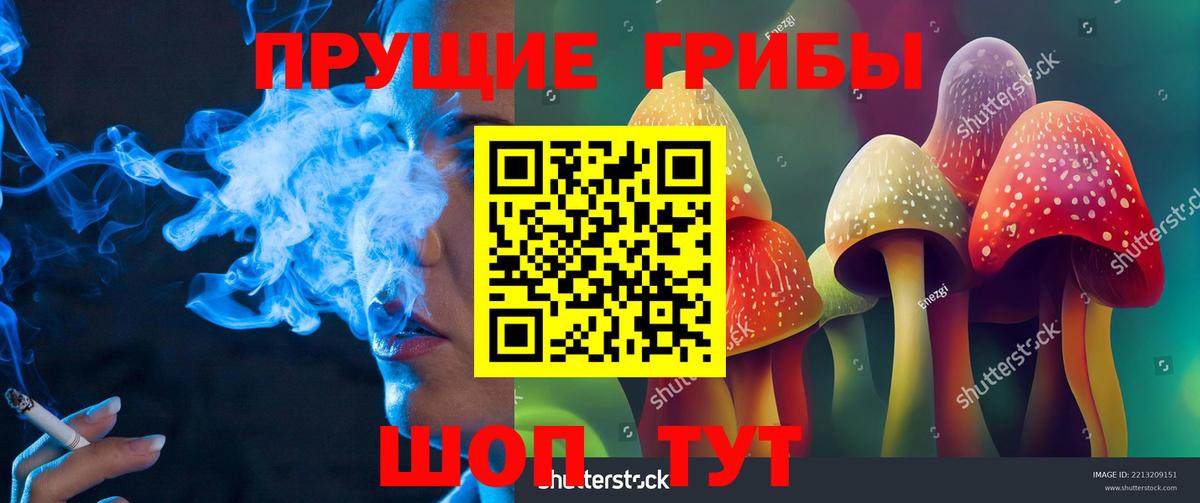 Псилоцибиновые грибы ЛСД Баксан